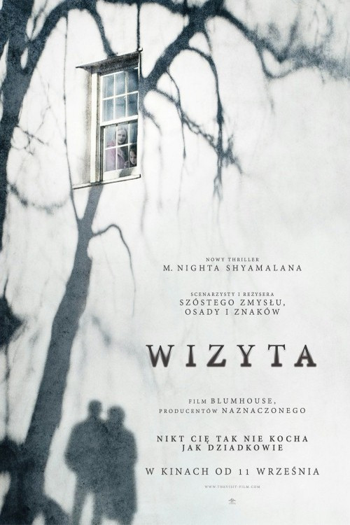 Wizyta (2015) – plakat filmu