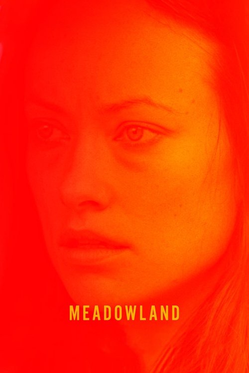 Meadowland (2015) – plakat filmu