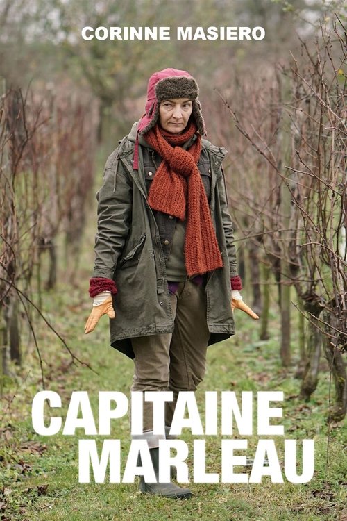 Kapitan Marleau (2015) – plakat filmu