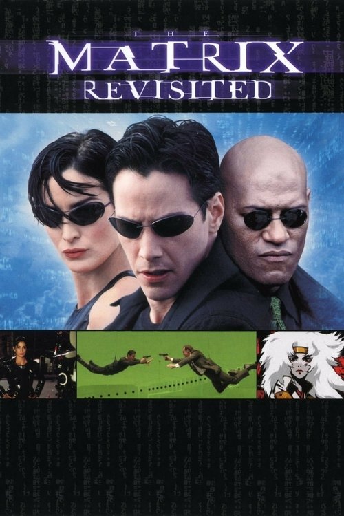 The Matrix Revisited (2001) – plakat filmu