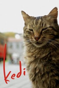 Kedi - sekretne życie kotów (2017) – plakat filmu
