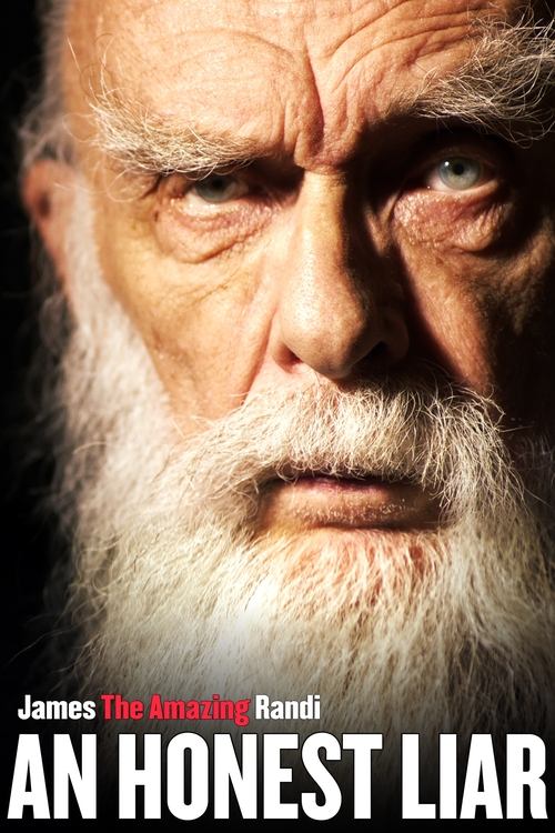 Uczciwy oszust (2014) – plakat filmu