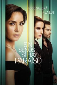 Sin senos sí hay paraíso (2016) - plakat