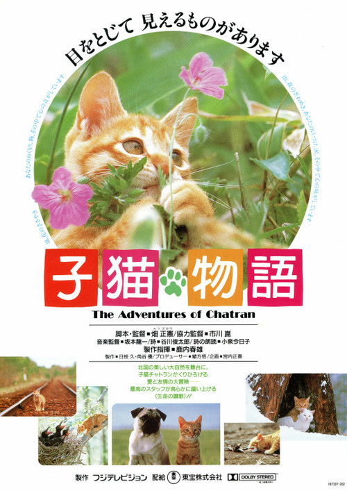 子猫物語 (1986) – plakat filmu