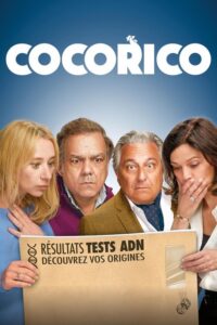 Test na teściów (2024) – plakat filmu