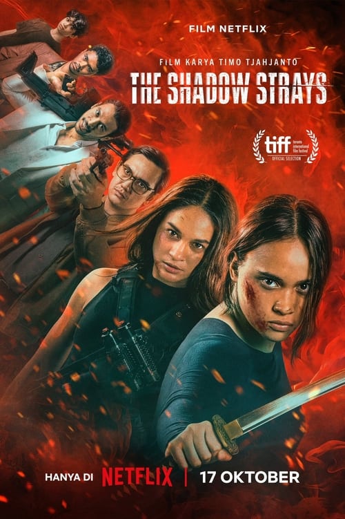 Błędny cień (2024) – plakat filmu