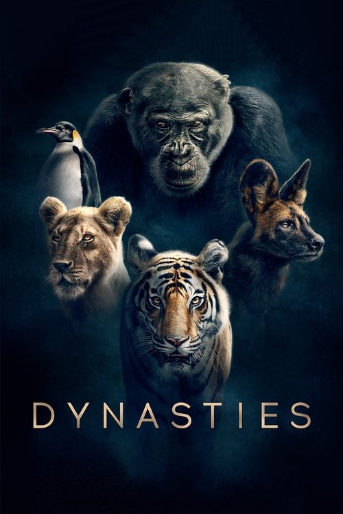 Dynastie (2018) – plakat filmu
