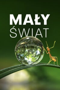 Mały świat (2020) – plakat filmu