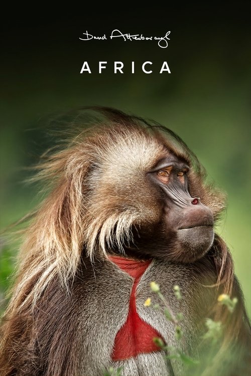 Africa (2013) – plakat filmu