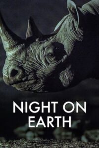 Ziemia nocą (2020) – plakat filmu