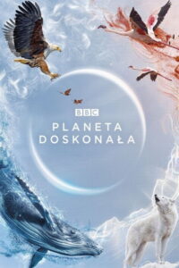 Planeta doskonała (2021) – plakat filmu