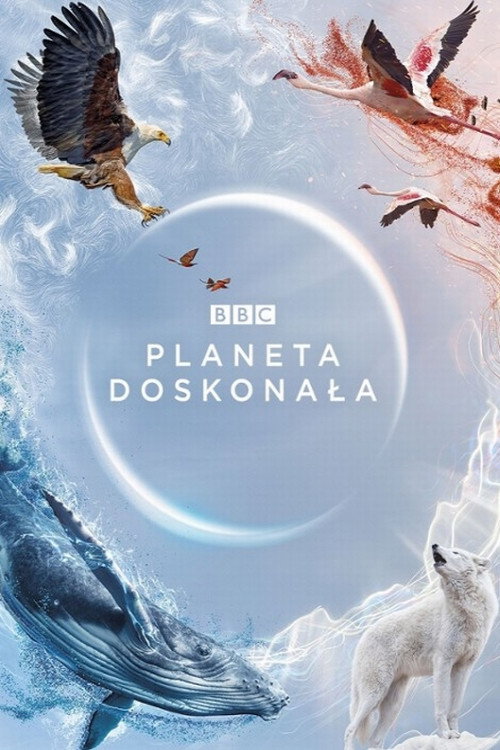 Planeta doskonała (2021) – plakat filmu