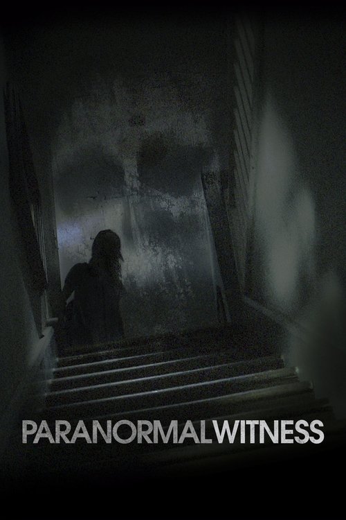 Paranormal Witness (2011) – plakat filmu