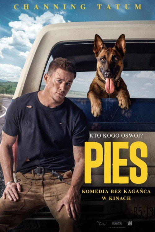 Pies (2022) – plakat filmu