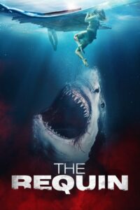 Rekin (2022) – plakat filmu